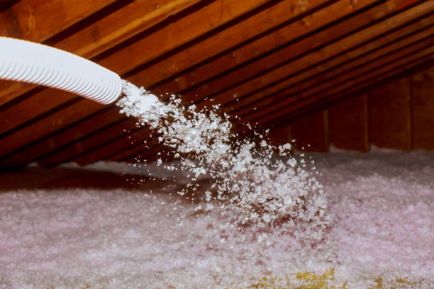 Best Blown-in Insulation  in Umatilla, FL