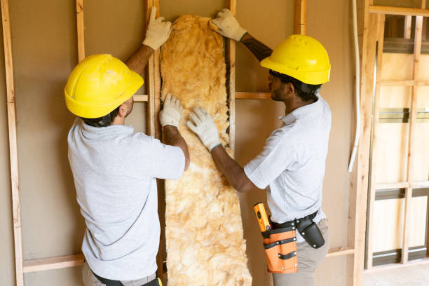 Best Insulation Inspection Services  in Umatilla, FL