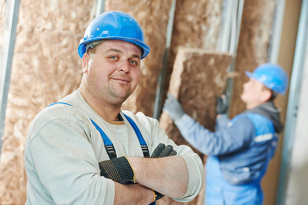 Best Home Insulation Services  in Umatilla, FL
