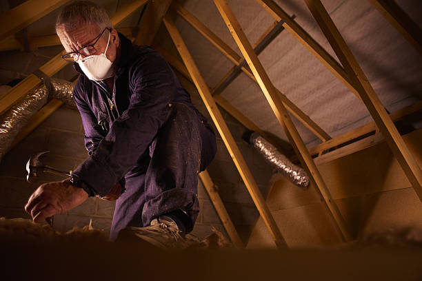 Best Wall Insulation Contractor  in Umatilla, FL