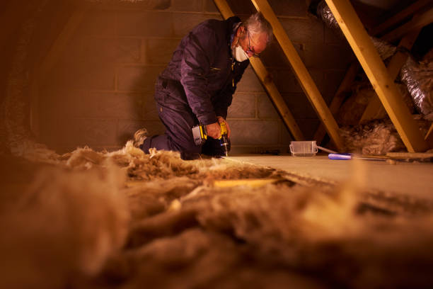 Best Local Insulation Services  in Umatilla, FL