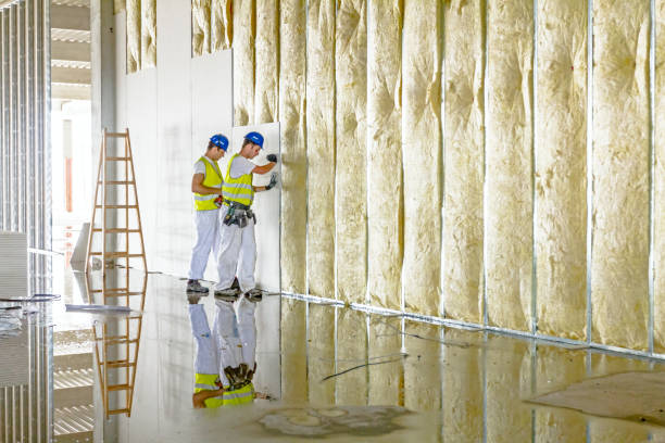 Best Residential Insulation Services  in Umatilla, FL